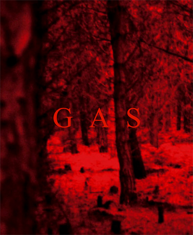 WOLFGANG VOIGT - GAS